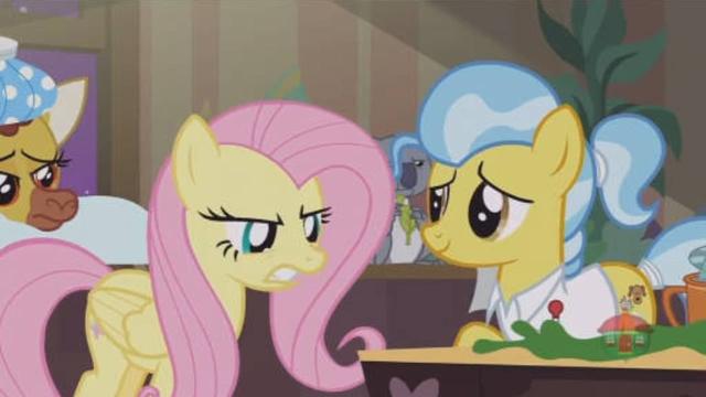 Schronisko Fluttershy