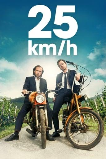 25 km/h