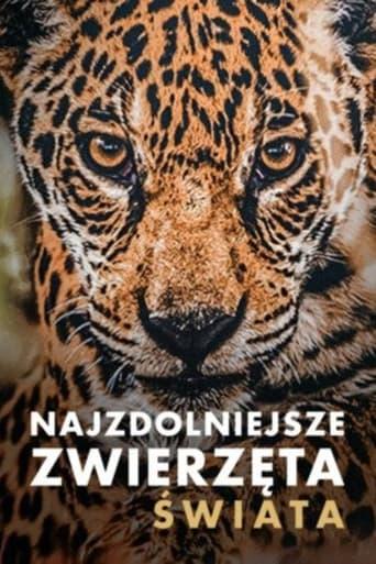 Najzdolniejsze zwierzęta świata