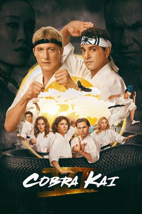 Cobra Kai Wszystkie odcinki • Online