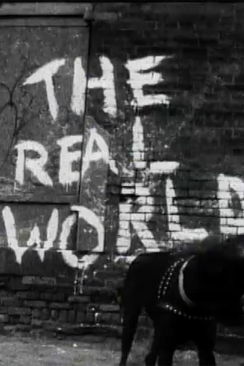 The Real World